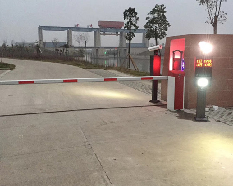 1575858367122950.jpg 33.jpg