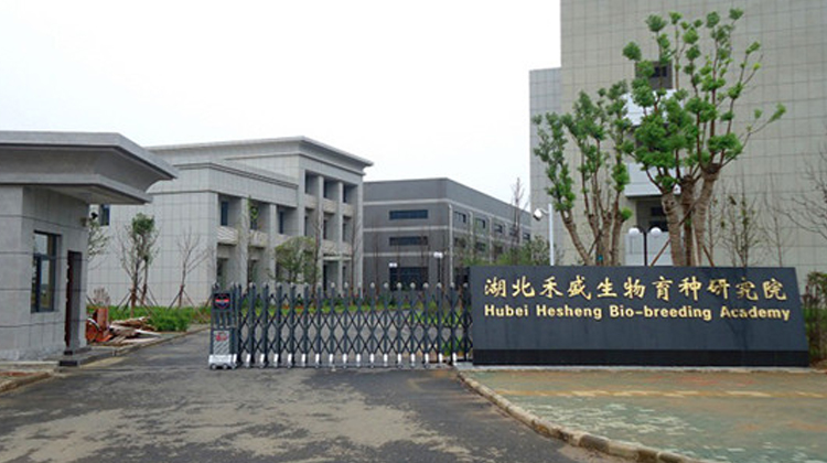 1575858901465173.jpg 33.jpg