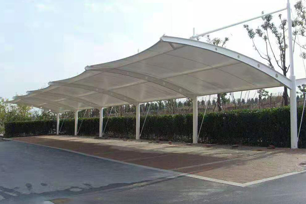 1577169253467497.jpg 7.jpg