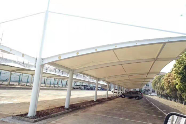 1577169286486302.jpg 8.jpg