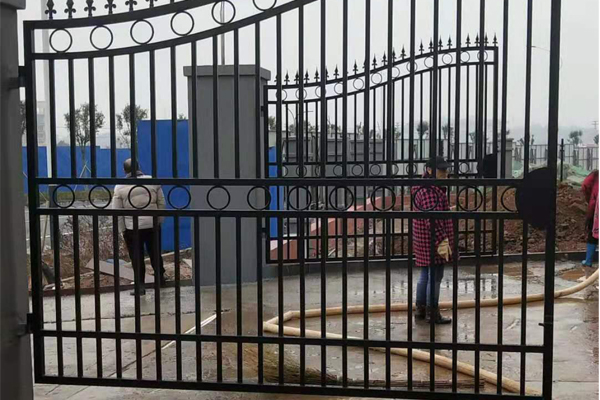 1577170601438924.jpg 99.jpg